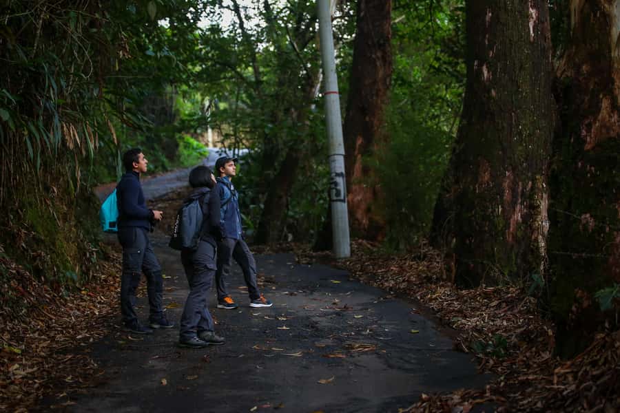 Birding Medellin with expert bird-watcher (Private) - Small details that make the morning better