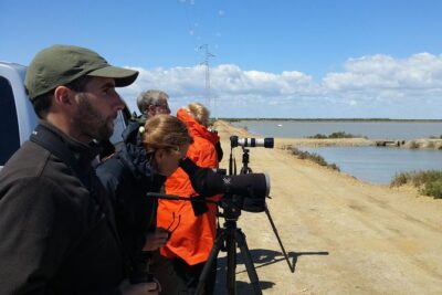 Birding & Photography Day Trip to Doñana from Seville