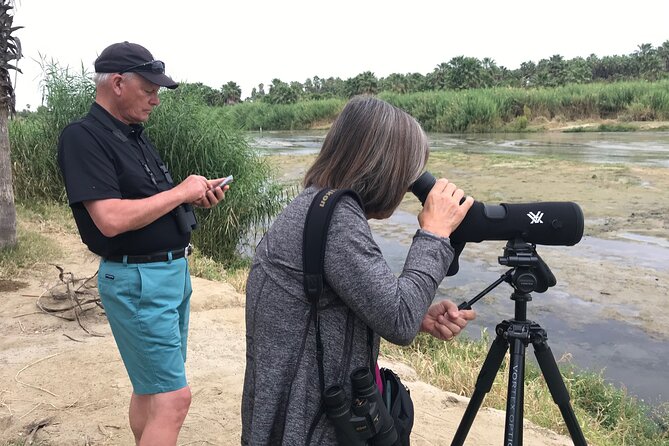 Birding San Jose Estuary Los Cabos Mexico - Key points at a glance