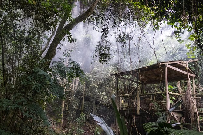 Birds of Eden Admission Ticket - Planning your time and route