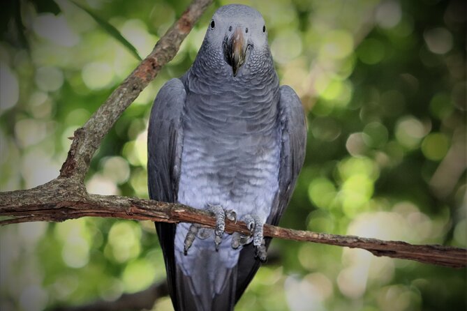 Birds of Eden Admission Ticket - Who will enjoy Birds of Eden most?