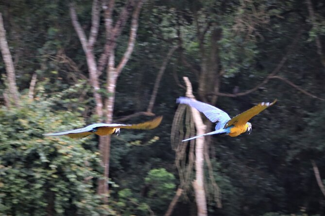 Birds of Eden Admission Ticket - A self-guided walk or help from a guide