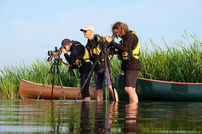 BIRDWATCH - Premium guided canoe tour at Cape Vente, Nemunas Delta Regional Park - Key points to know before booking