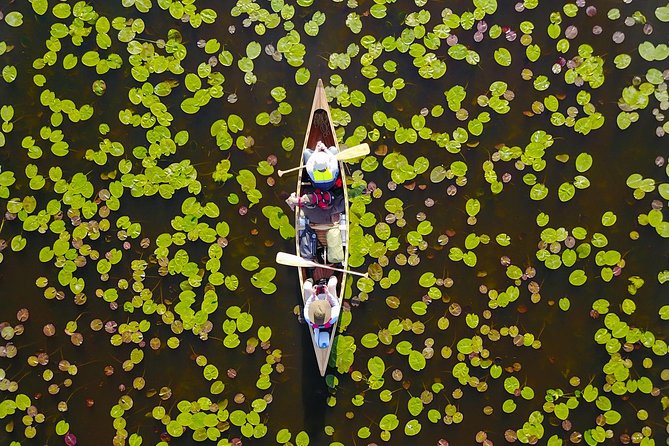 BIRDWATCH - Premium guided canoe tour at Cape Vente, Nemunas Delta Regional Park - What the $159.03 price covers