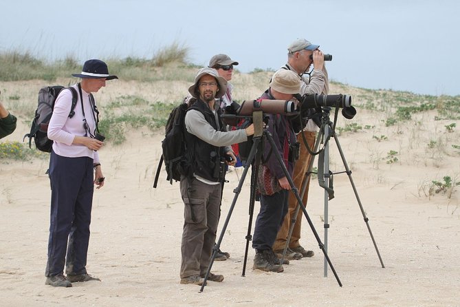 Birdwatching at Abicada and Alvor dunes - Why Alvor makes a good birdwatching base