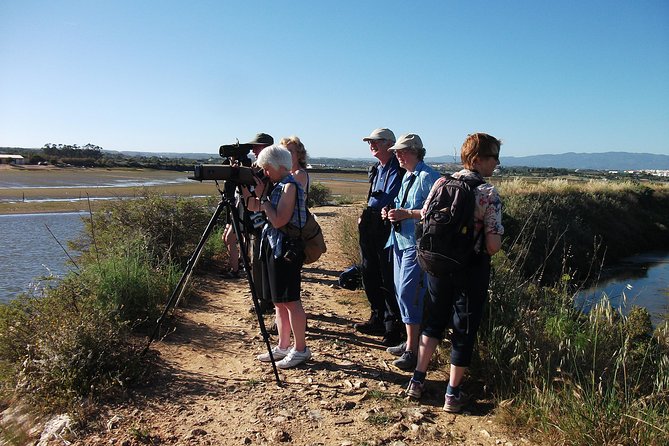 Birdwatching at Ria de Alvor - Ria de Alvor, where resort country meets the marsh