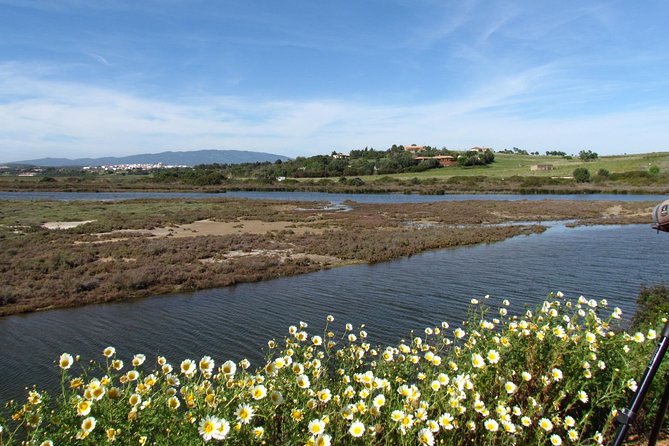 Birdwatching at Ria de Alvor - Why the telescope makes a difference