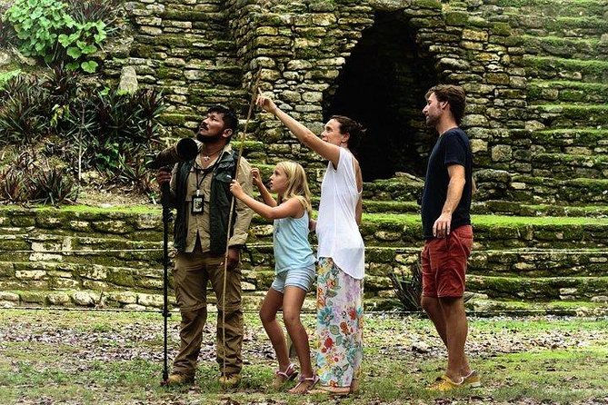 Birdwatching at The Mayan Cities with certified guide - How good is the value?