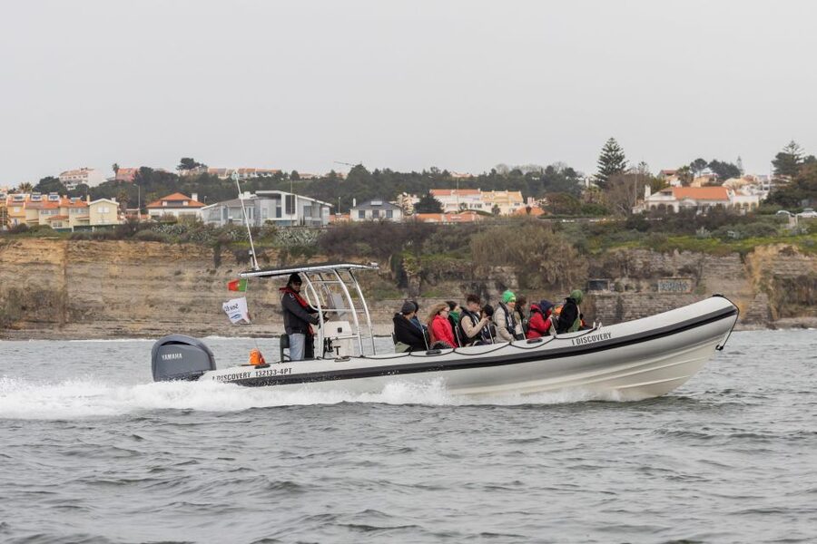 Birdwatching Boat Tour in the Tagus Estuary - Two hours among the estuary’s birds