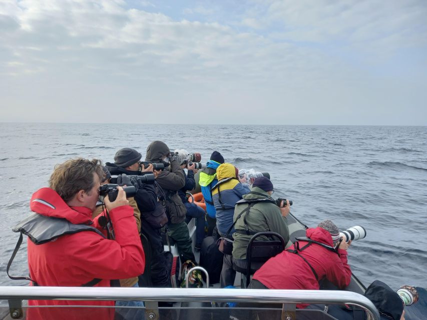 Birdwatching Boat Tour in the Tagus Estuary - What the specialist guide adds