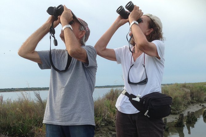 Birdwatching by boat in a small group in the Pialassa Baiona - Entering Pialassa Baiona by small boat