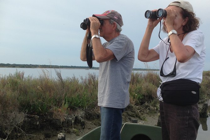 Birdwatching by boat in a small group in the Pialassa Baiona - Marina Romea and the route through the Baiona