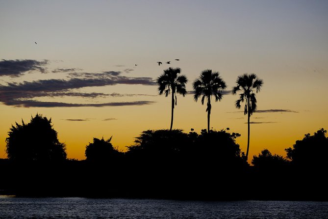 Birdwatching Cruise in Zambezi River with Breakfast - Group size, guides, and the boat experience