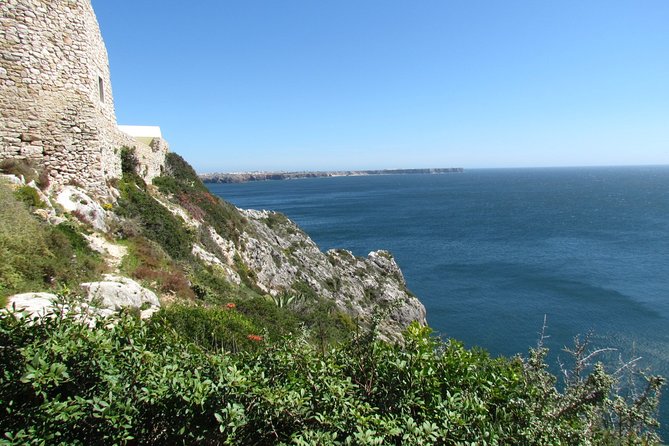 Birdwatching day around Sagres - Why Sagres is such a good birdwatching base