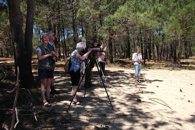 Birdwatching day around Sagres - Starting early from Lagos