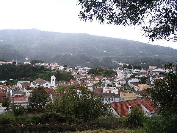Birdwatching day in the Monchique hills - What the telescope and transport add