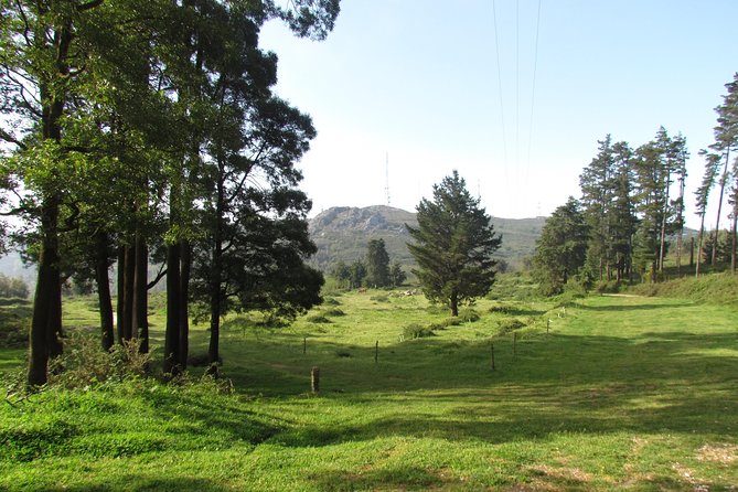 Birdwatching day in the Monchique hills - Who will enjoy this day most