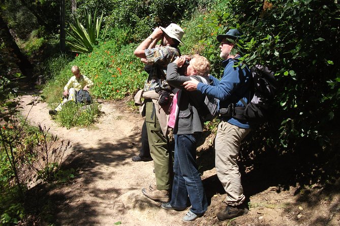 Birdwatching day in the Monchique hills - What the strong feedback tells you