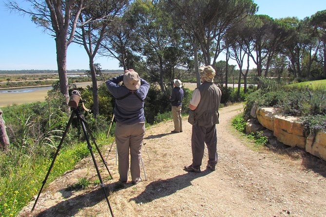 Birdwatching day in the Ria Formosa Natural Park - Why this Ria Formosa day is more than a quick bird stop