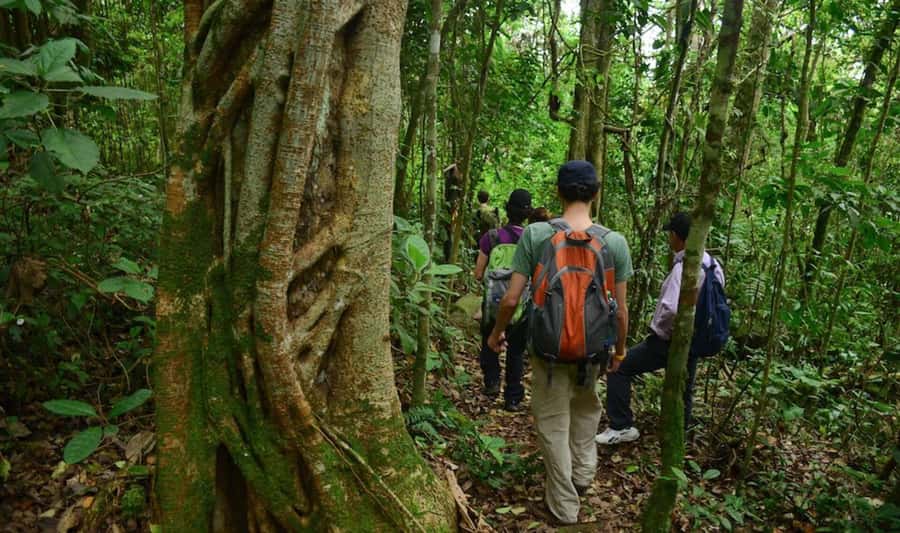 Birdwatching Day Tour at Chicaque Natural Park - Key points to know before you book