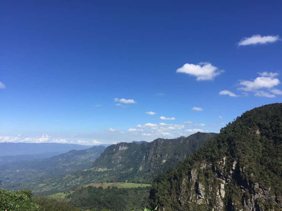 Birdwatching Day Tour at Chicaque Natural Park - Is $93 a fair price?