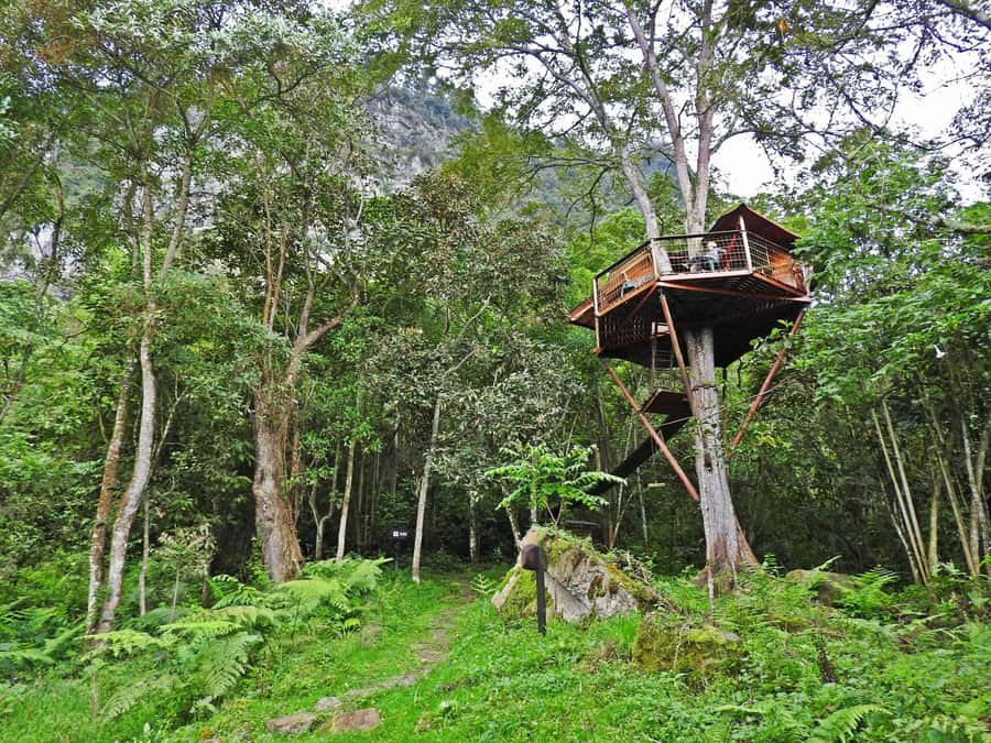 Birdwatching Day Tour at Chicaque Natural Park - Who will enjoy this tour most?
