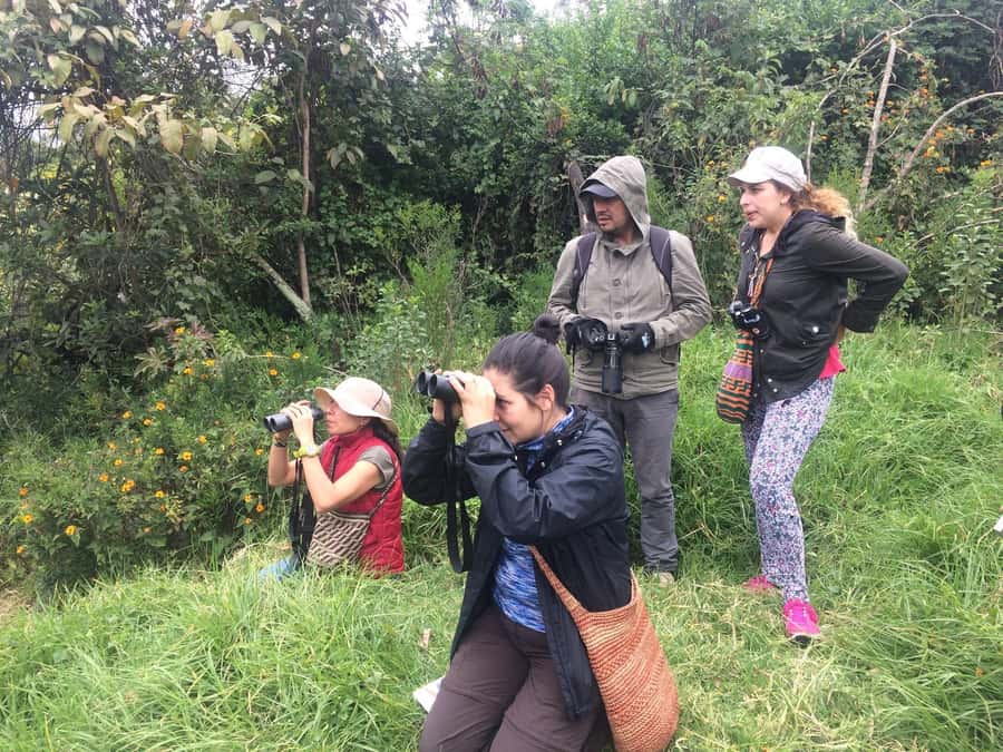 Birdwatching Day Tour at Chicaque Natural Park - A four-hour walk through Chicaque Natural Park