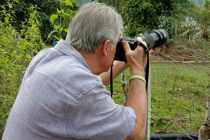 Birdwatching: Desaru's Winged Gems - What you can see around Desaru Coast