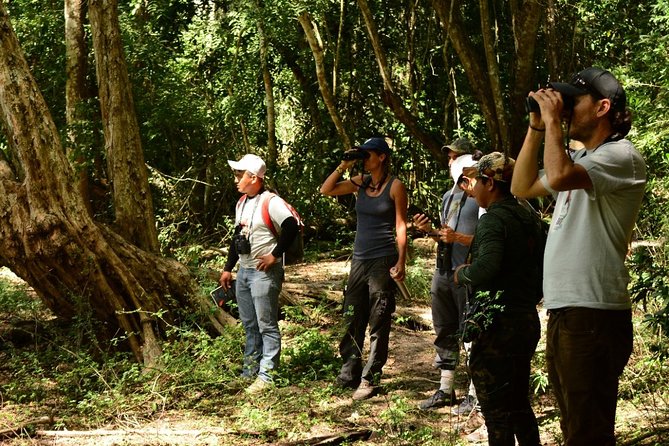 Birdwatching in Coba from Tulum - Shared Group Tour - Is the $149 price fair?