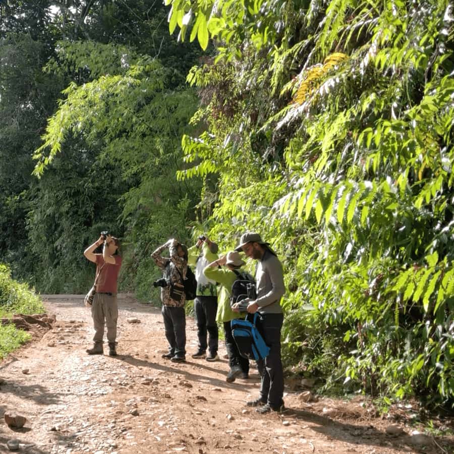 Birdwatching in Guatapé with Around 400 Bird Species - The 45-minute ride from Guatapé to San Rafael