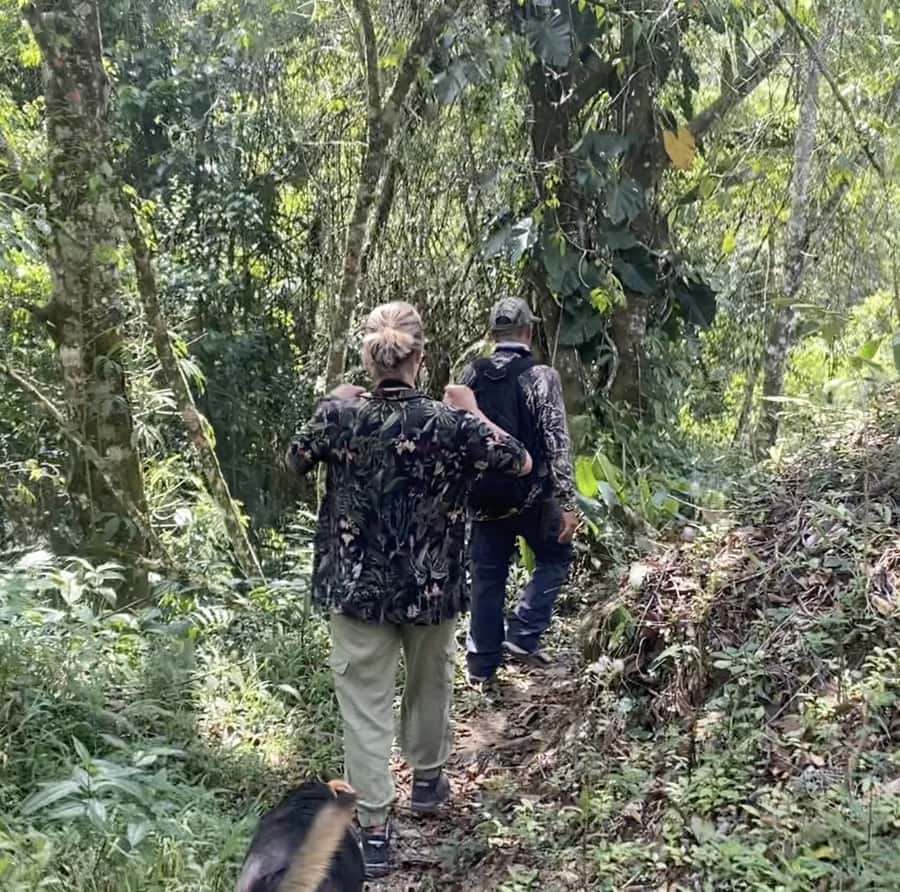 Birdwatching in Guatapé with Around 400 Bird Species - What you might see in four hours