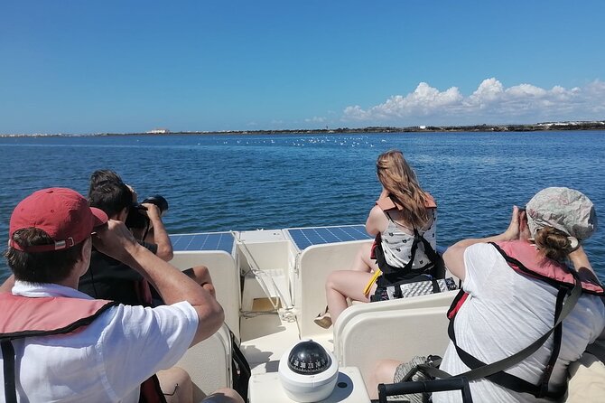 Birdwatching in Ria Formosa - Eco Boat Tour from Faro - Through the Marshes and Channels