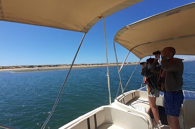 Birdwatching in Ria Formosa - Eco Boat Tour from Faro - The Return to Faro and the Best City Views