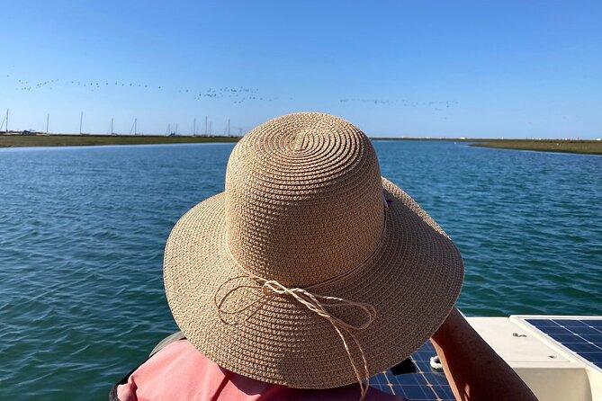 Birdwatching in Ria Formosa - Eco Boat Tour from Faro - The Guide Makes the Difference
