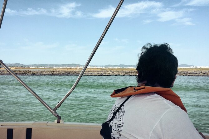 Birdwatching in Ria Formosa - Eco Boat Tour from Faro - Is the $48.27 Price Good Value?