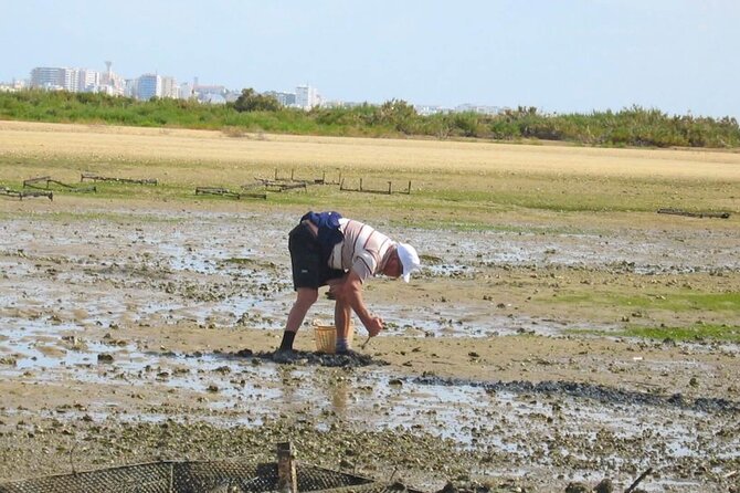 Birdwatching in Ria Formosa - Eco Boat Tour from Faro - Who Should Book This Faro Boat Tour?