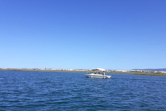 Birdwatching in Ria Formosa - Eco Boat Tour from Faro - Shellfish Farms, Oyster Beds, and Local Work