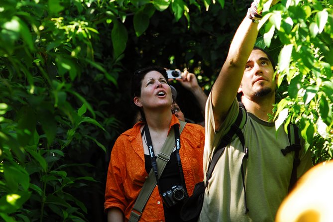 Birdwatching in Sian Ka´an Muyil from Tulum - Shared Group Tour - Muyil ruins and the old trading route