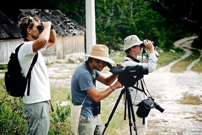 Birdwatching in Sian Ka´an Muyil from Tulum - Shared Group Tour - A 6:00 am start in Muyil