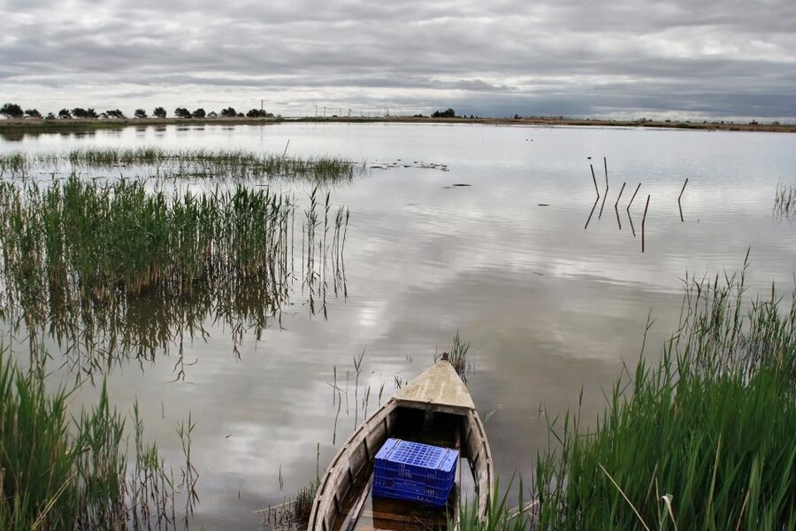 Birdwatching in the Ebro Delta - From the lagoon to Fangars Bay by car