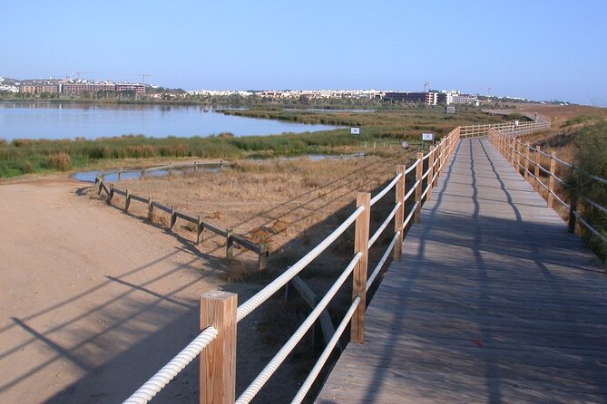 Birdwatching Private Tour at Fascinating Salgados Lagoon - Walking the lagoon with Rui