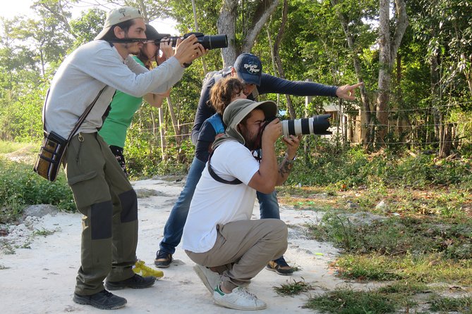 Birdwatching Sian Ka'an Biosphere Reserve - Birdwatching With a Local Eye
