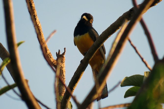 Birdwatching Sian Ka'an Biosphere Reserve - Practical Tips Before You Go
