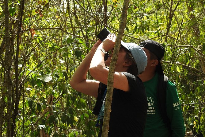 Birdwatching Sian Ka'an Biosphere Reserve - Should You Book Birdwatching Sian Ka’an?