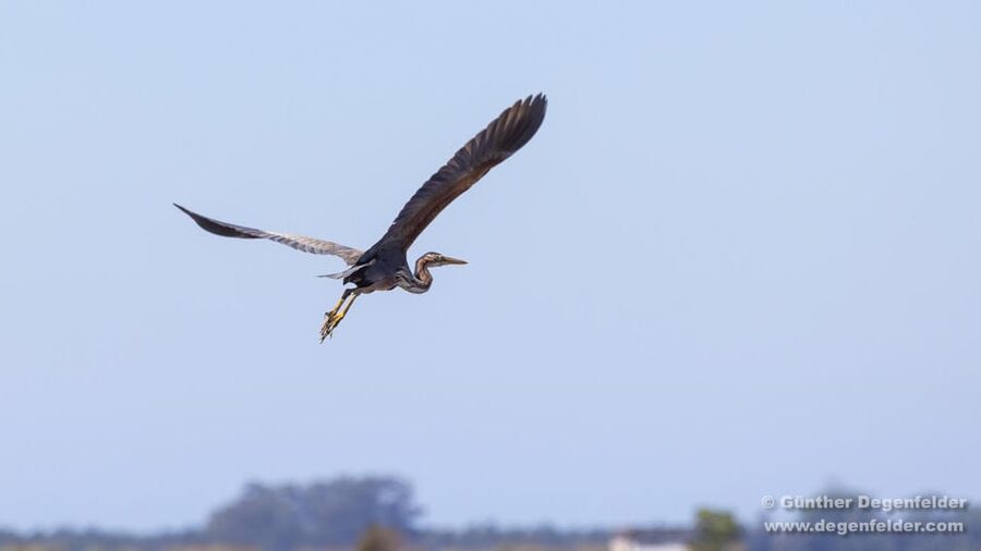 Birdwatching Solar Boat Tour Aveiro Lagon - Who will enjoy this Aveiro boat tour