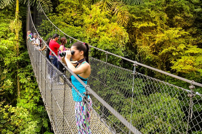 Birdwatching Tour at Mistico Park - Walking into Mistico Park’s rainforest