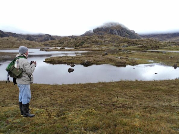 Birdwatching Tour in Cajas National Park from Cuenca - Key points to know before booking