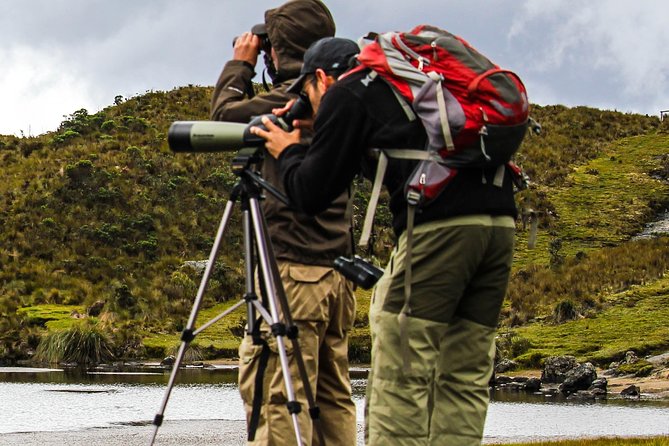 Birdwatching Tour in Cajas National Park from Cuenca - Lunch and the change to Llaviuco Valley
