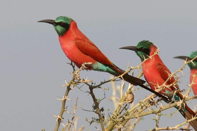 Birdwatching tours - Meeting Pablo and getting set up