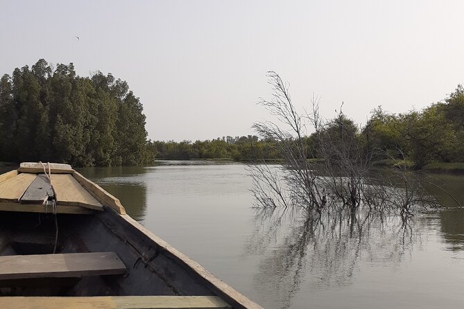 Birdwatching tours - The half-day outing and its four-hour pace